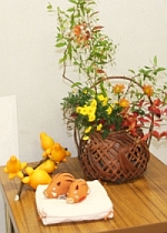 �����ԁA��|�u���x�C�m�V�V�v