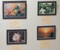 �f�W�J���ʐ^�i�J���[�j