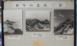 �f�W�J���ʐ^�i���m�N���j