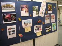 �p�\�R����i